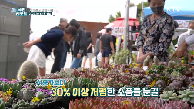 3년 만에 열린 '가을꽃 축제' 코로나 피로 씻어