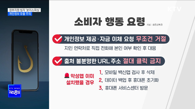 정부지원 빙자 '보이스피싱' 경보···개인정보 유출 주의 [정책현장+]