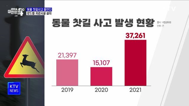 동물 찻길사고 줄인다···로드킬 저감시설 설치