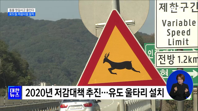 동물 찻길사고 줄인다···로드킬 저감시설 설치