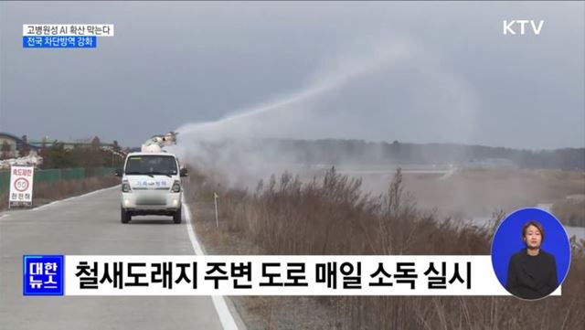 고병원성 AI 확산 막는다···전국 차단방역 강화 [정책현장+]