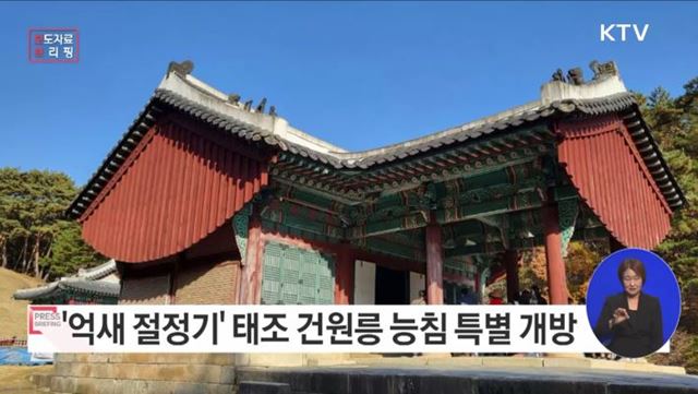 '억새 절정기' 맞은 태조 건원릉, 능침 특별 개방