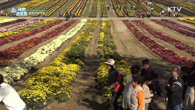 깊어가는 가을 [한국의 美]