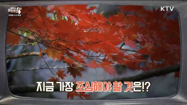 산불 예방 계절 [라떼는 뉴우스]