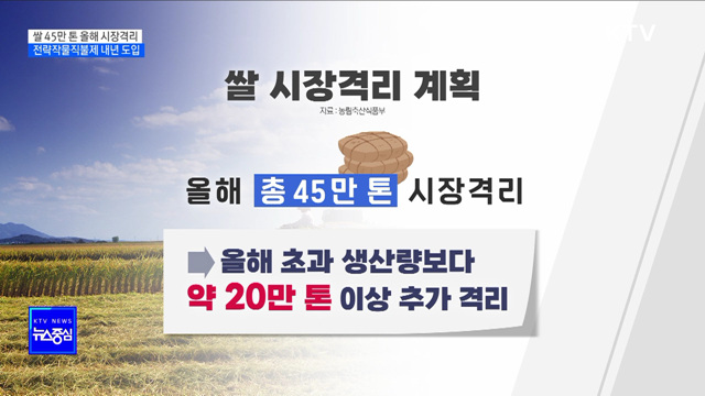 쌀 45만 톤 올해 시장격리···전략작물직불제 내년 도입