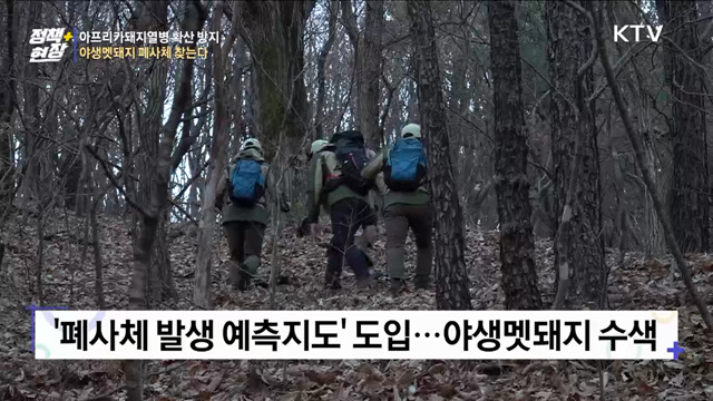 과학 기법으로 야생멧돼지 찾는다···'폐사체 발생 예측도' 도입