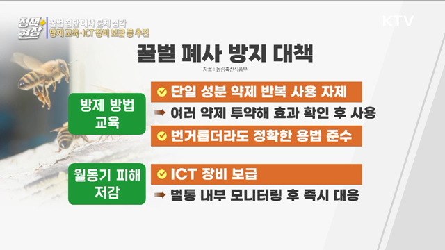 꿀벌 집단 폐사 문제 심각···방제 교육·ICT 장비 보급 등 추진