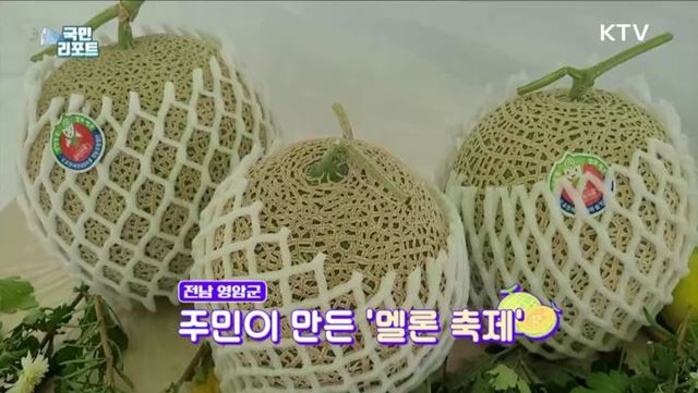 주민들이 만든 '멜론 축제' 고당도 선보여