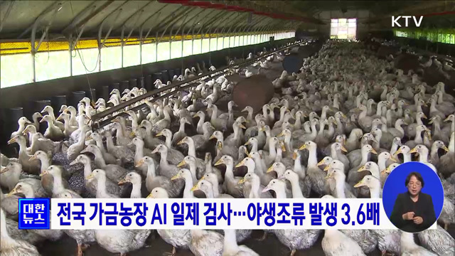 전국 가금농장 AI 일제 검사···야생조류 발생 3.6배