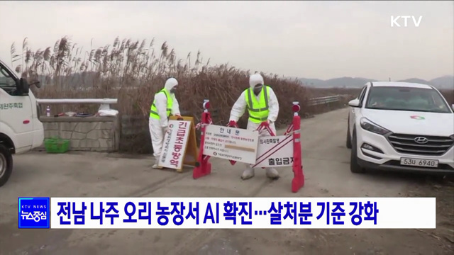 전남 나주 오리 농장서 AI 확진···살처분 기준 강화