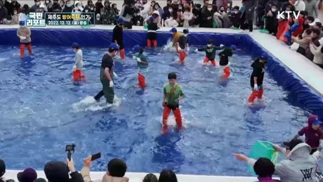 제주도 해양문화제 '방어축제' 관광객 인기