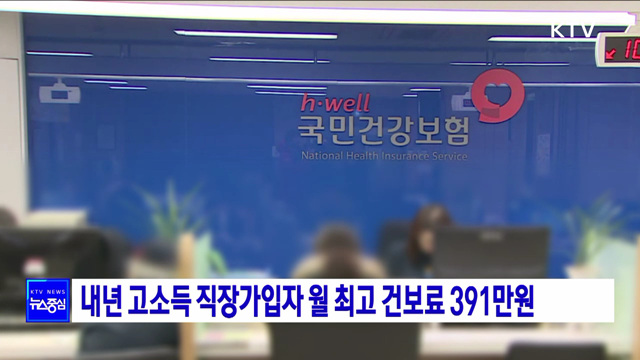 내년 고소득 직장가입자 월 최고 건보료 391만원