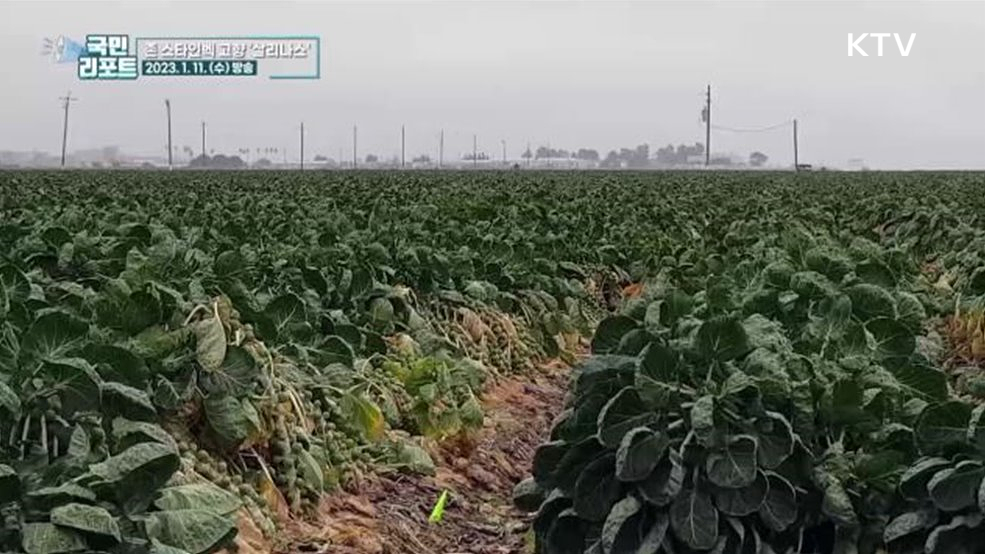 미국 살리나스, 농업·관광 도시로 성장