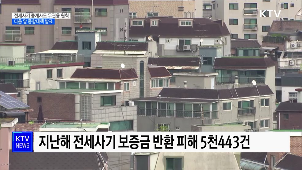 "전세사기 가담 중개사도 무관용 원칙···다음달 대책 발표"