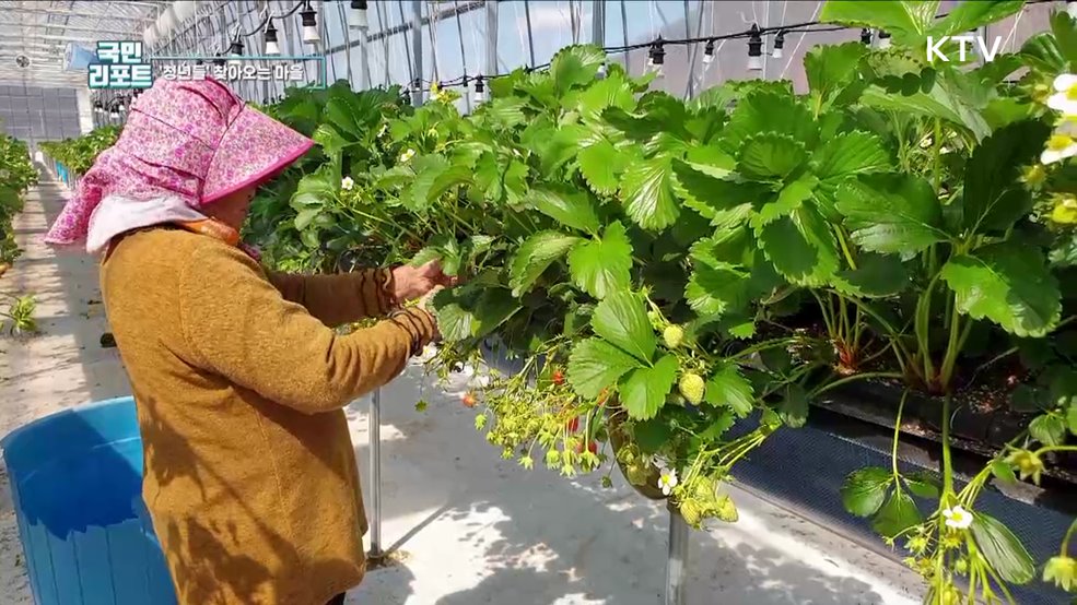 청년 귀촌 도와요, 의성군 이웃사촌 시범마을