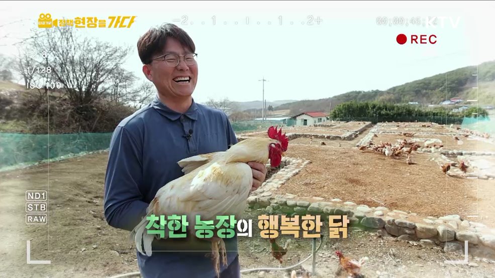 착한 농장의 행복한 닭