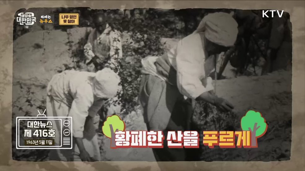 식목일 특집! 나무 없인 못 살아 정말 못 살아~ [라떼는 뉴우스]