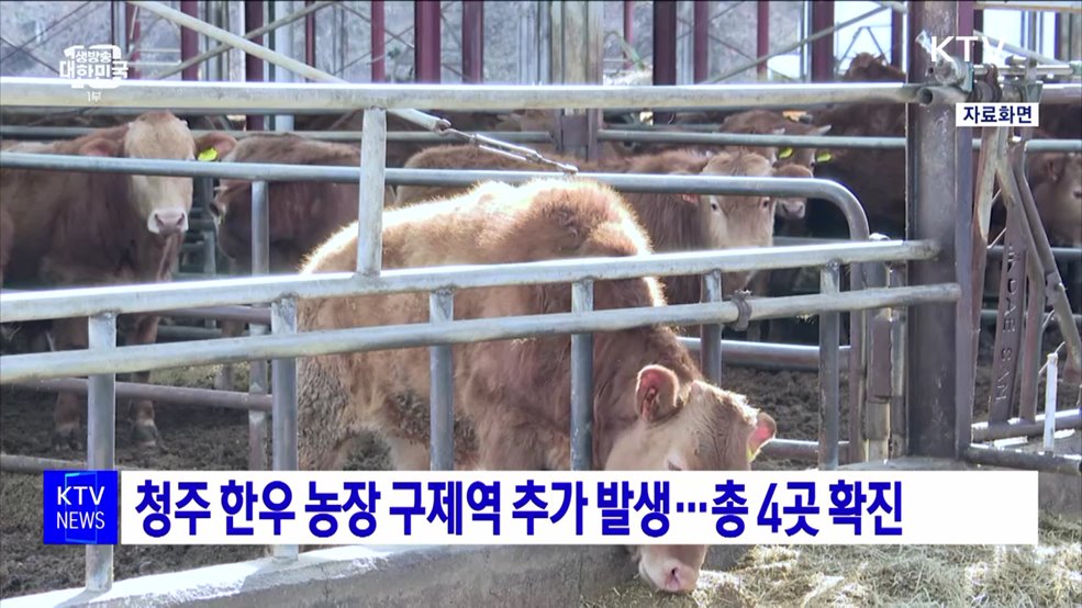 청주 한우 농장 구제역 추가 발생···총 4곳 확진