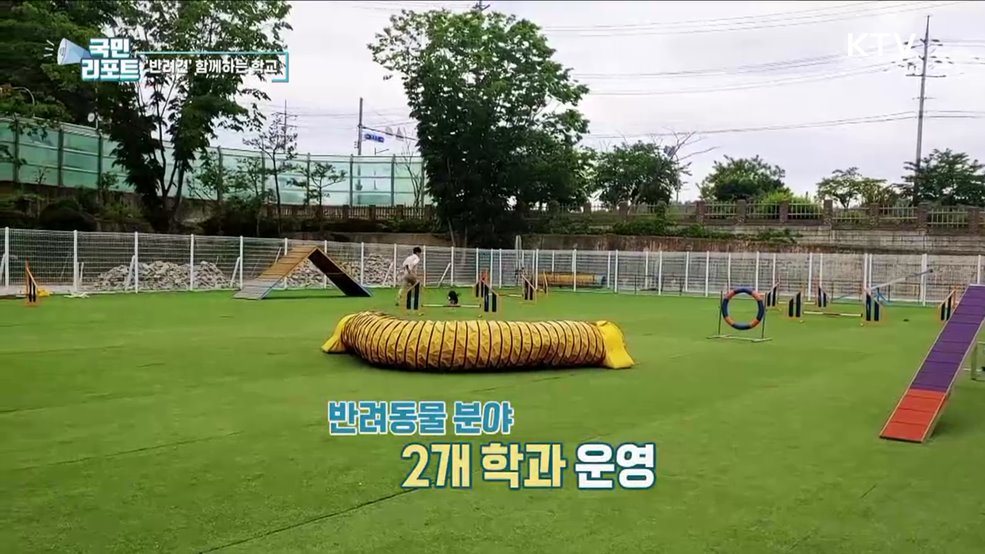 반려견 함께 공부해요, '펫고등학교' 인기