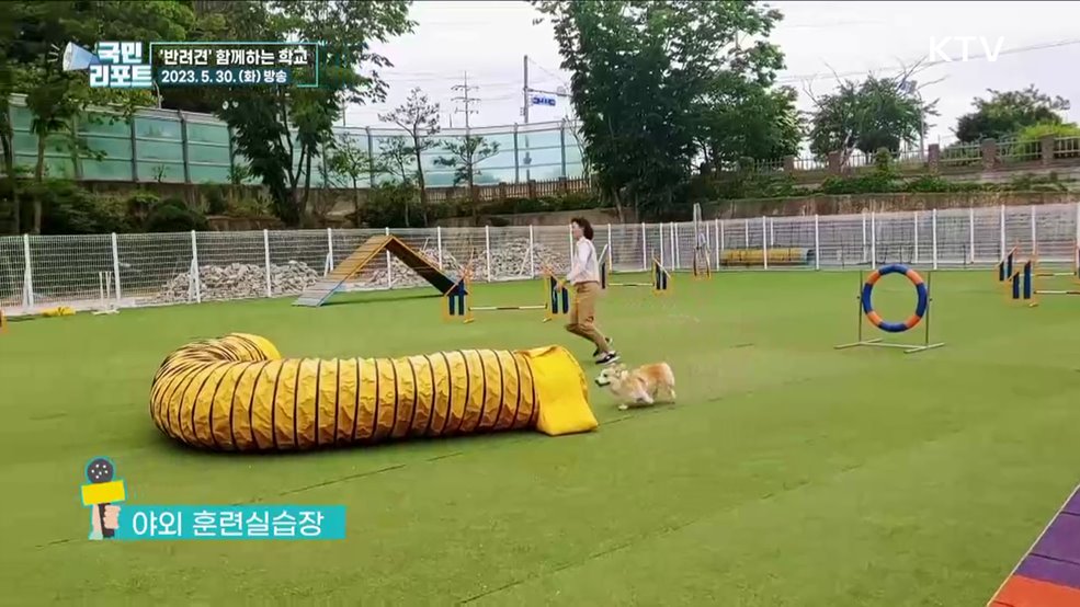 반려견 함께 공부해요, '펫고등학교' 인기