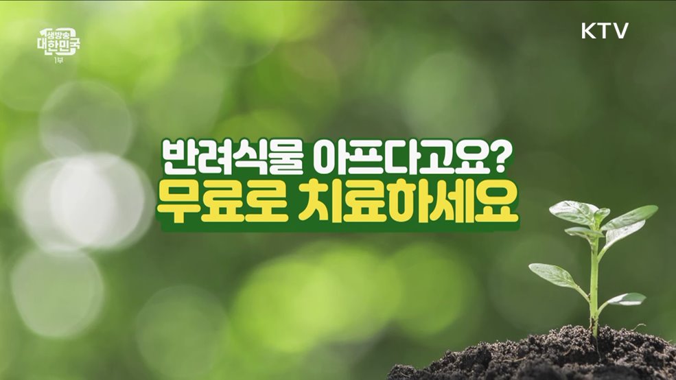 반려식물 아프다고요? 무료로 치료하세요 [돈이 보이는 VCR]