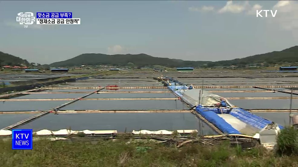 맛소금 공급 부족?···"원료 공급 안정적" [정책현장+]