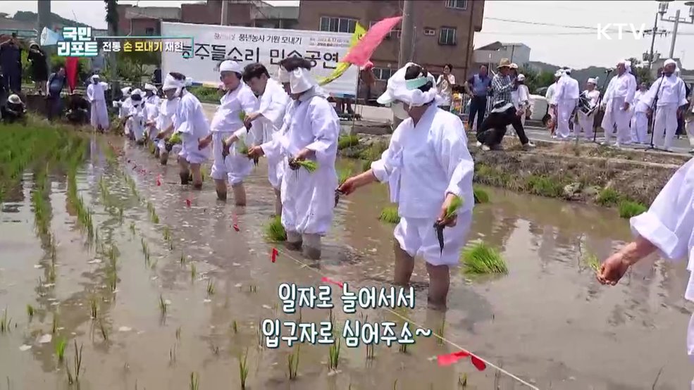 농요 부르며 '전통 손 모내기' 재현해요