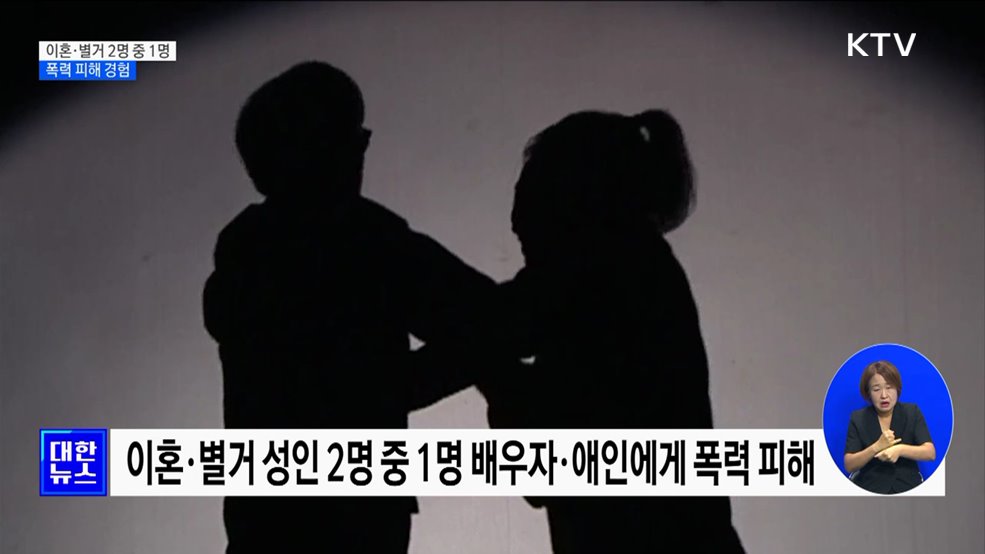 이혼·별거 2명 중 1명 폭력 피해 경험