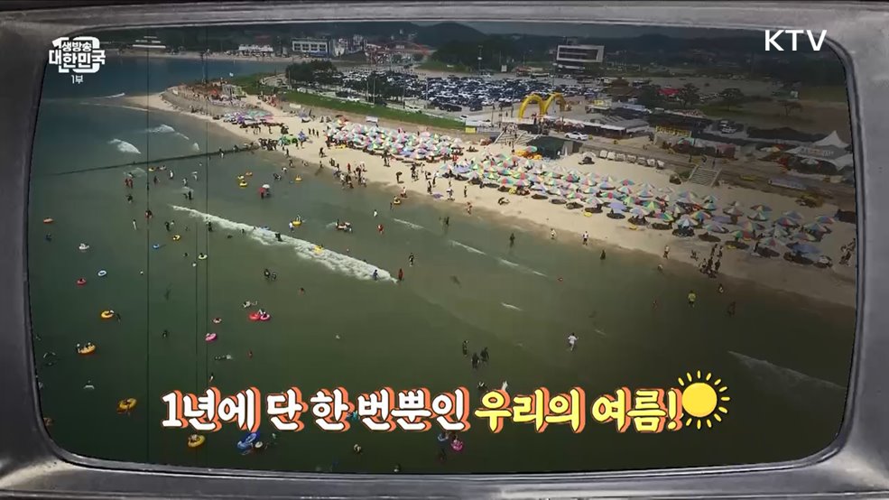 놓치면 1년 기다려야 한다!? 여름에만 볼 수 있던 것들 [라떼는 뉴우스]