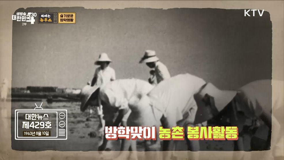 야호 방학이다~! 라떼의 슬기로운 방학생활 [라떼는 뉴우스]