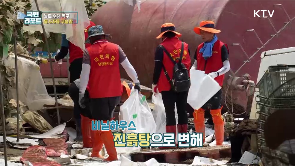 농촌 힘내세요, 수해 현장 찾은 자원봉사들