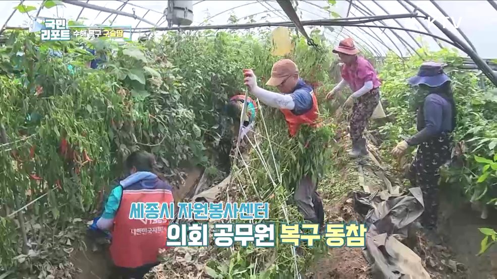 전국서 봉사자들 모여 '수해 복구' 구슬땀