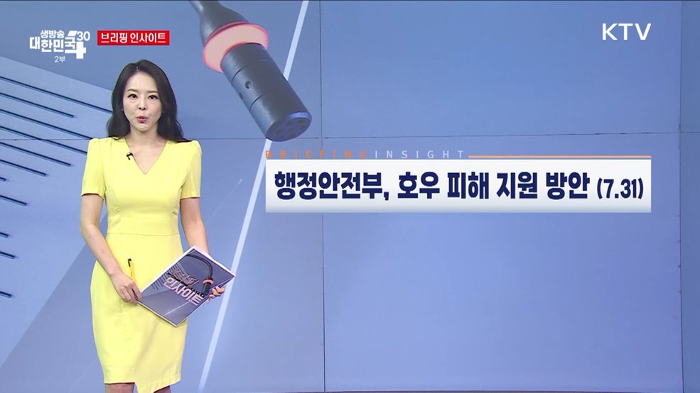 행정안전부, 호우 피해 지원 방안 (7.31) [브리핑 인사이트]