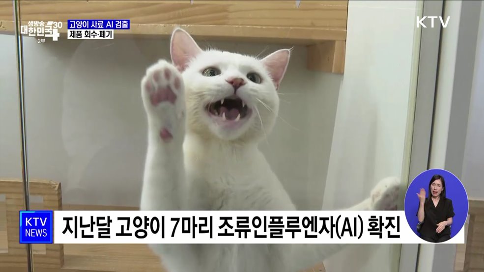 고양이 사료서 AI 항원 검출···제품 회수·폐기