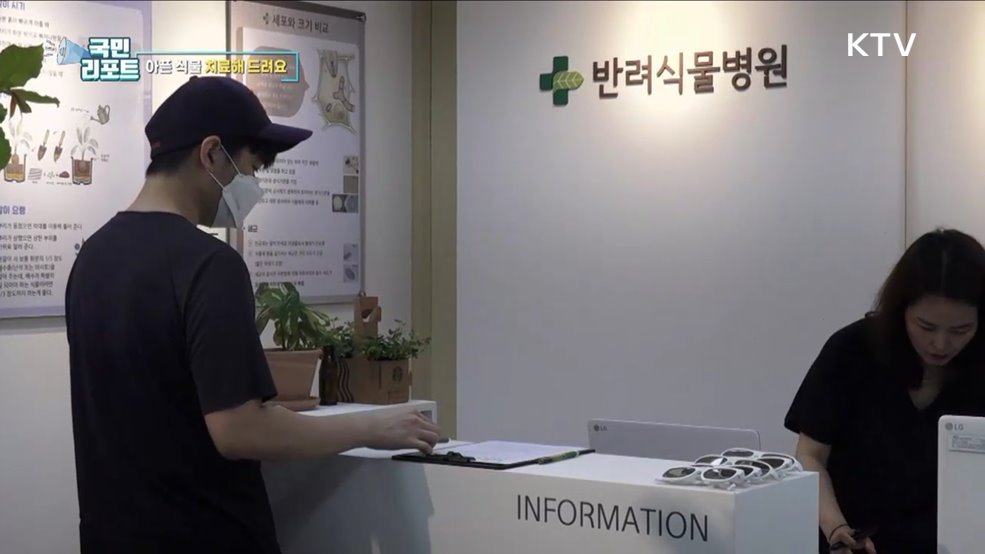 식물 치료 입원실 갖춘 '반려식물병원' 오세요