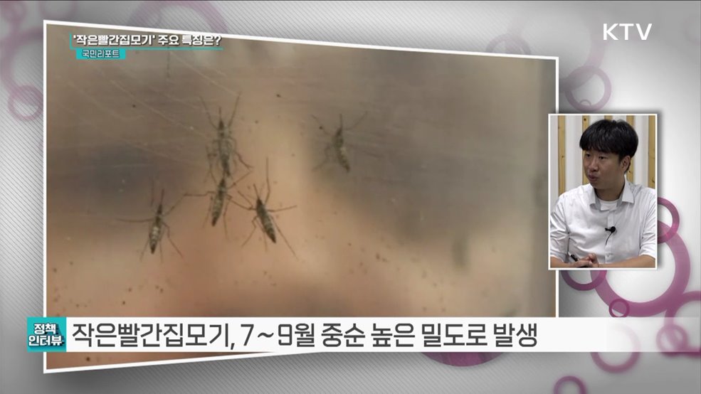 전국에 일본뇌염 경보 발령 '예방접종 권고' [정책인터뷰]