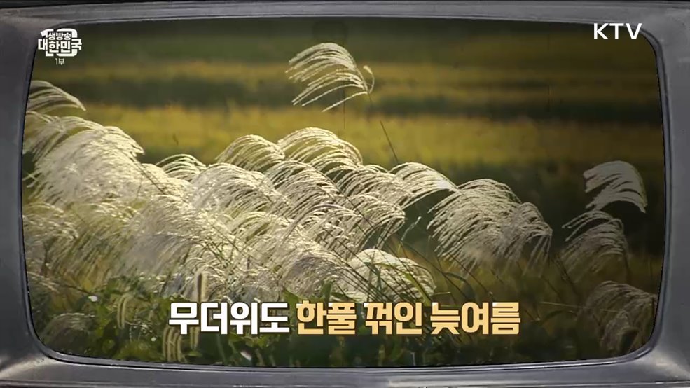 비상! 태풍주의보! 그 시절 우리들의 대처법은? [라떼는 뉴우스]