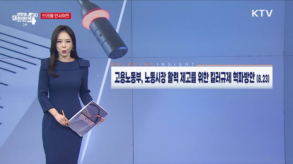 고용노동부, 노동시장 활력 제고를 위한 킬러규제 혁파방안 (8.23) [브리핑 인사이트]