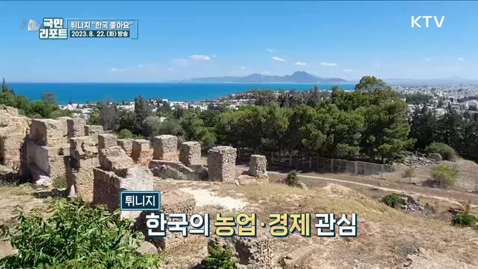 북아프리카 튀니지, K-문화 매력에 빠지다