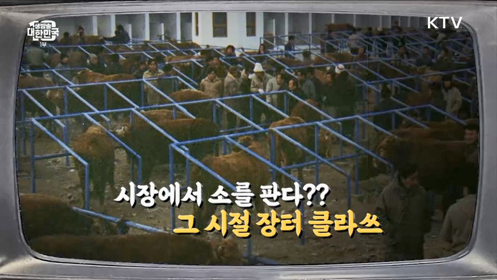 시장에서 소를 판다?? 그 시절 장터 클라쓰 [라떼는 뉴우스]