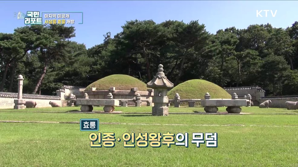 마지막 미공개 조선왕릉 '서삼릉 효릉' 개방