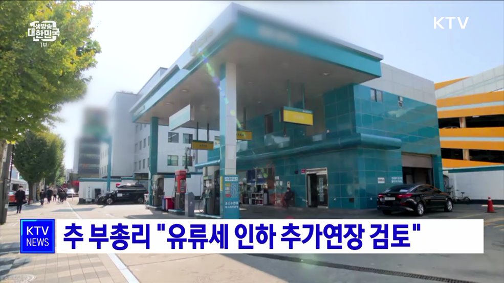 추 부총리 "유류세 인하 추가연장 검토"