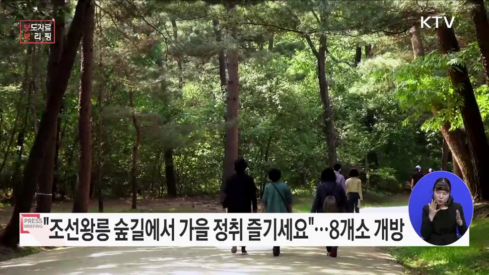 가을 정취 가득한 조선왕릉 숲길로 오세요