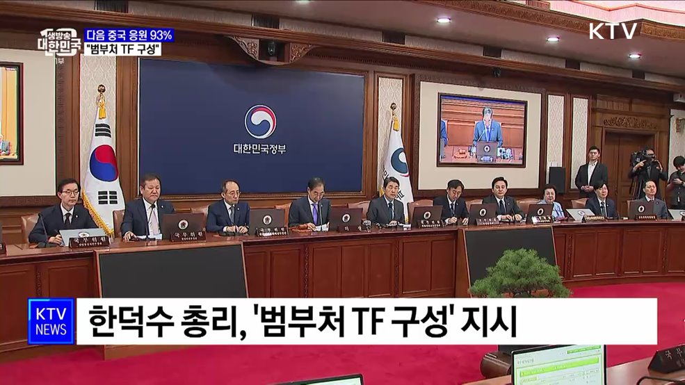 다음 중국 응원 93%···'여론 조작 방지 TF' 구성 지시