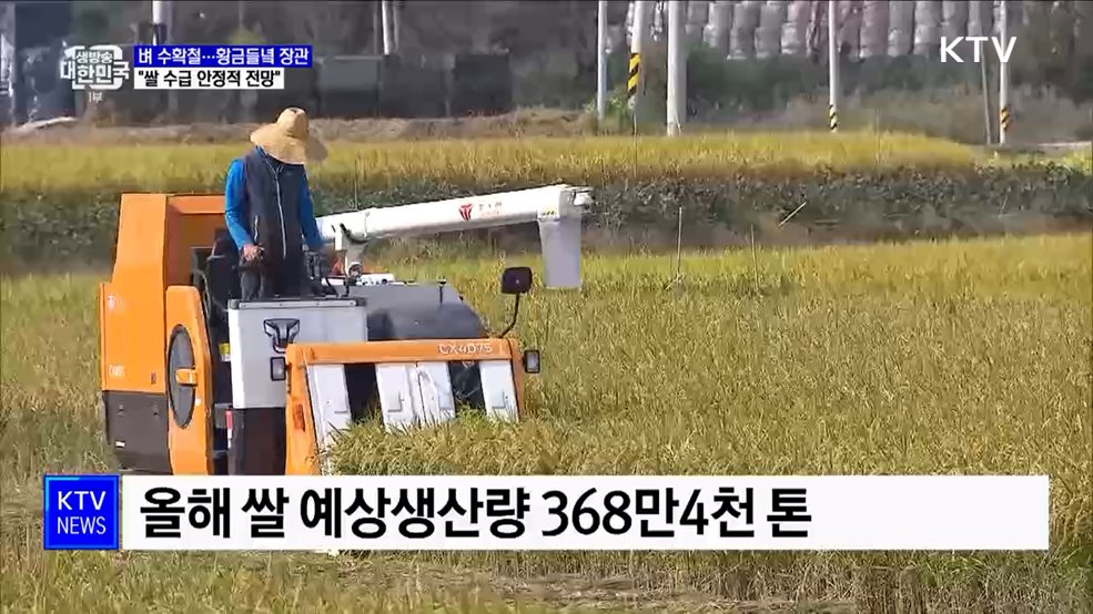 벼 수확철···"올 수확기 쌀 수급 안정적 전망"