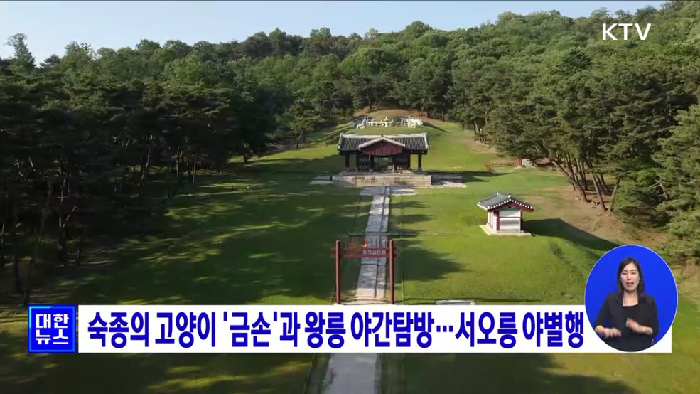 숙종의 고양이 '금손'과 왕릉 야간탐방···서오릉 야별행