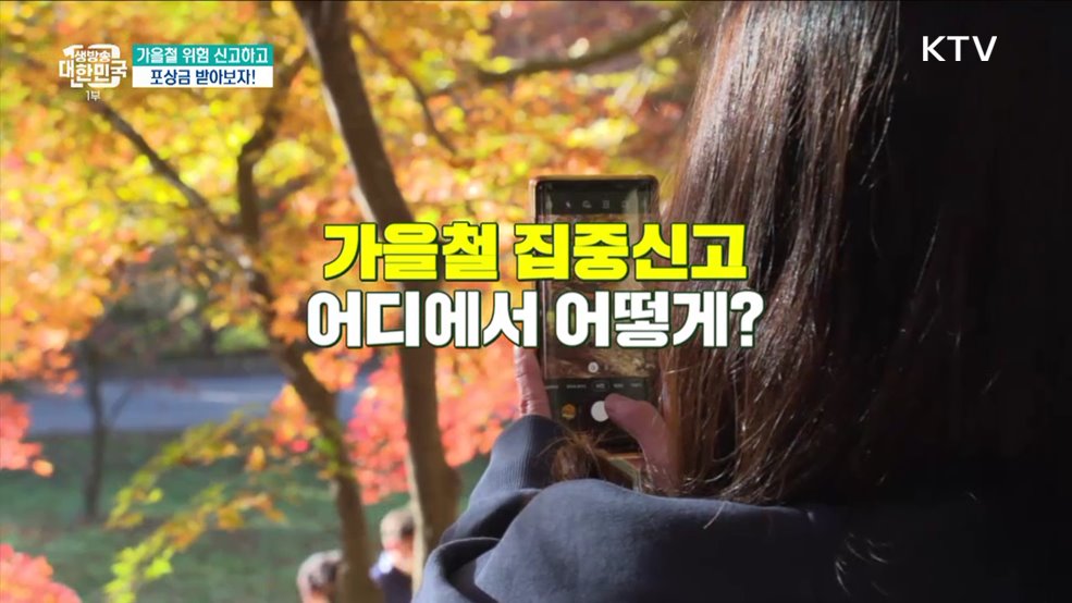 가을철 위험 신고하고 포상금 받아보자! [돈이 보이는 VCR]