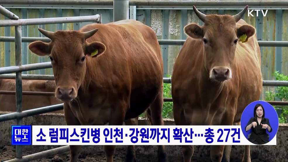소 럼피스킨병 인천·강원까지 확산···총 27건