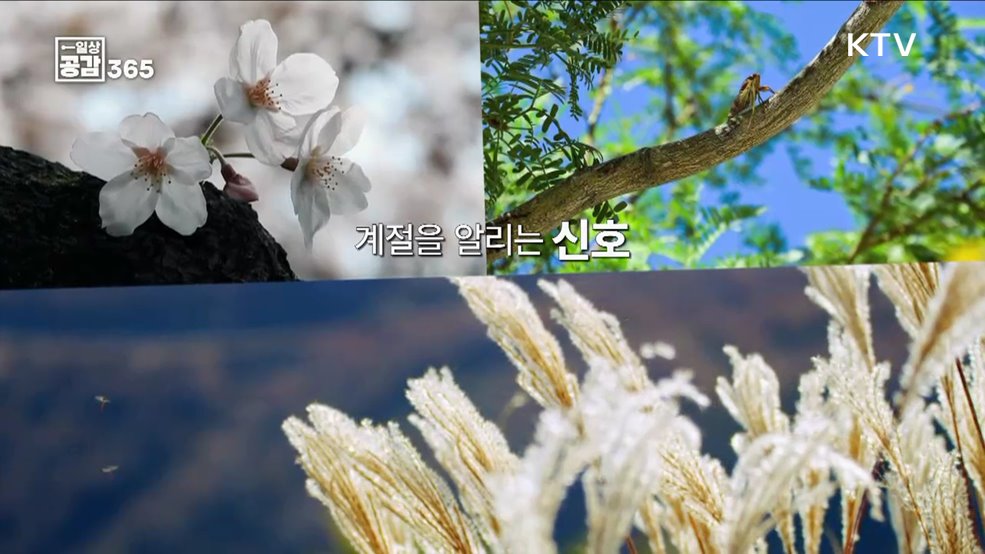 코끝을 스치는 바람이 차가워지는 시기 [일상공감365] 