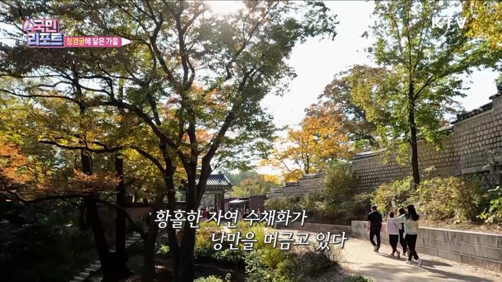 창경궁에 닿은 가을 [한국의 美]